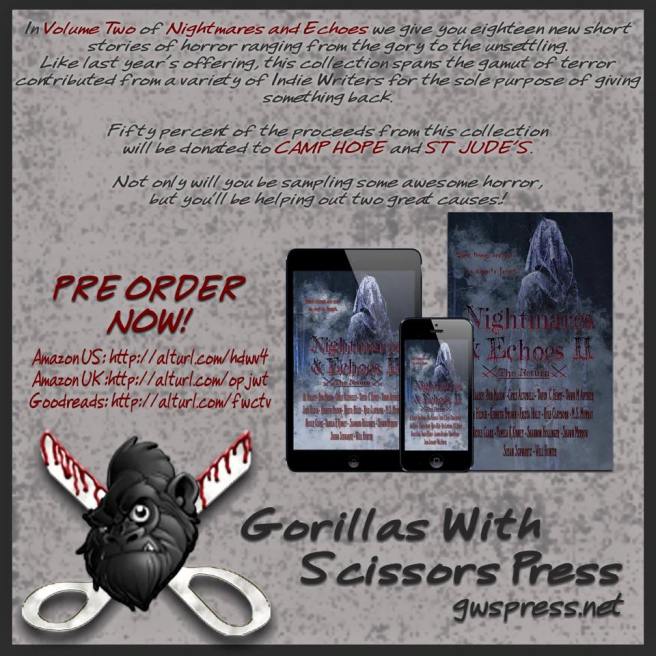 Nightmares & Echoes 2 Promo Post